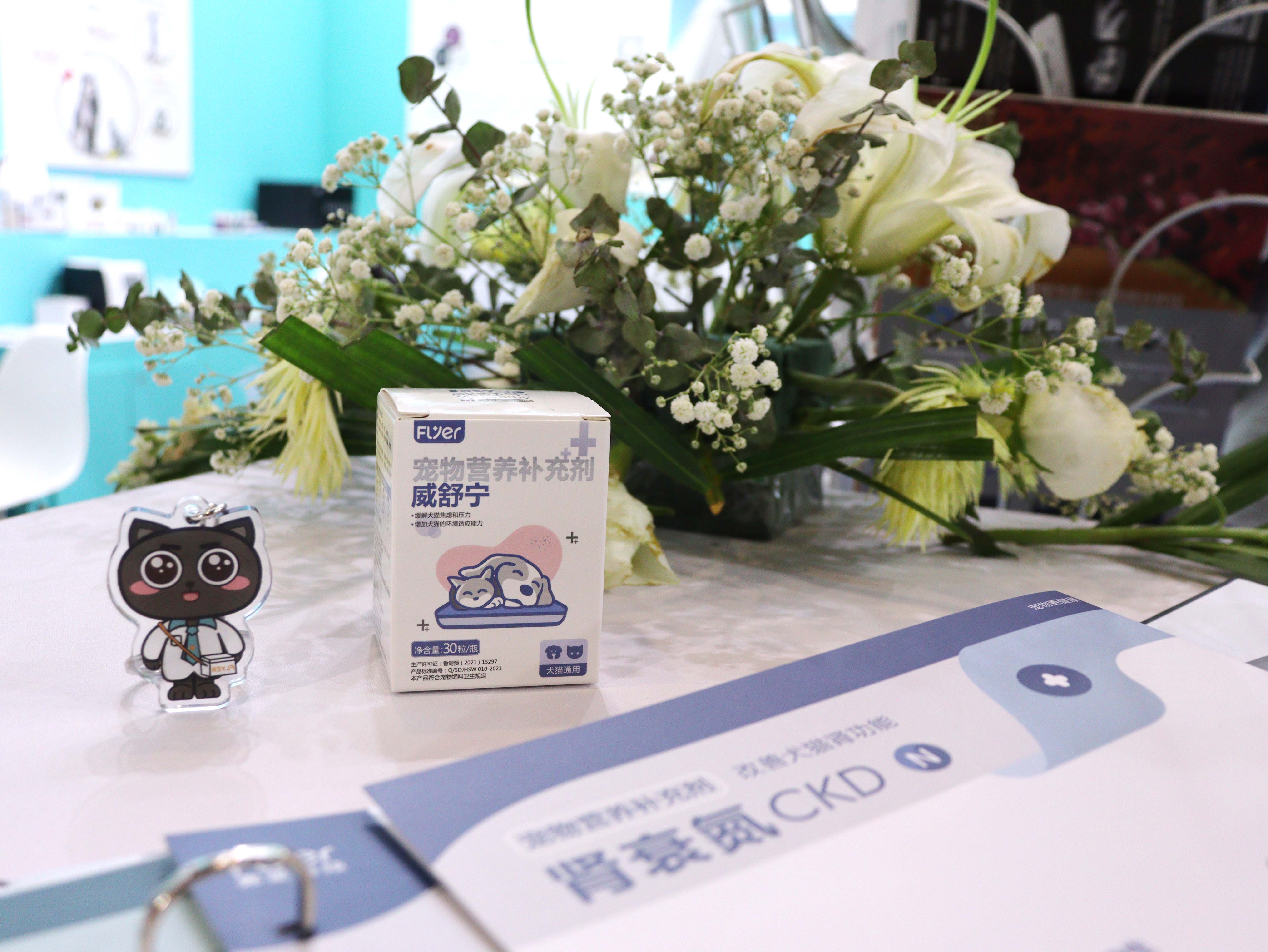 First show of Flyer in the 15th WESAVC (East and West Small Animal Veterinary Conference 2023).(图8)