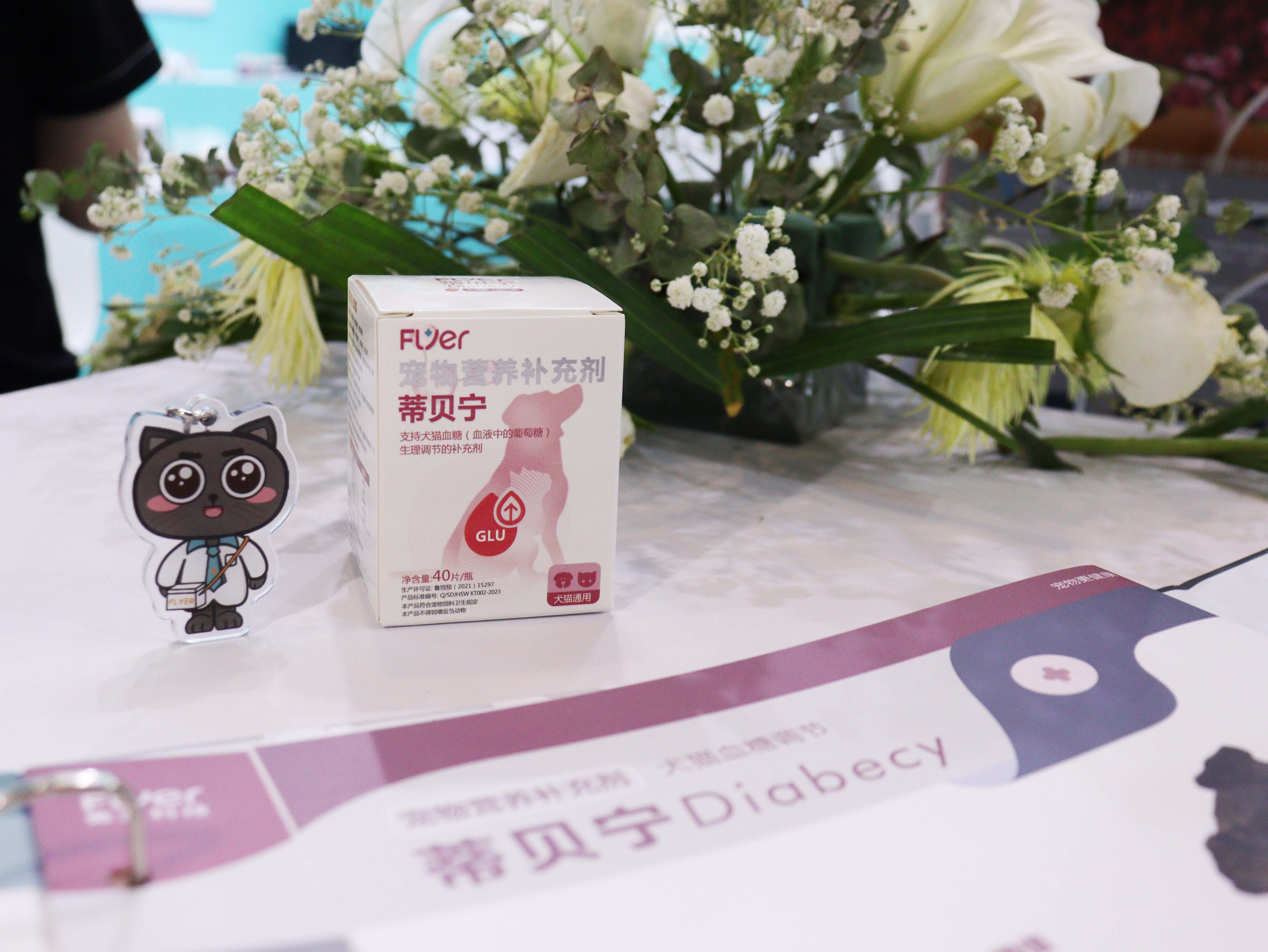 First show of Flyer in the 15th WESAVC (East and West Small Animal Veterinary Conference 2023).(图5)