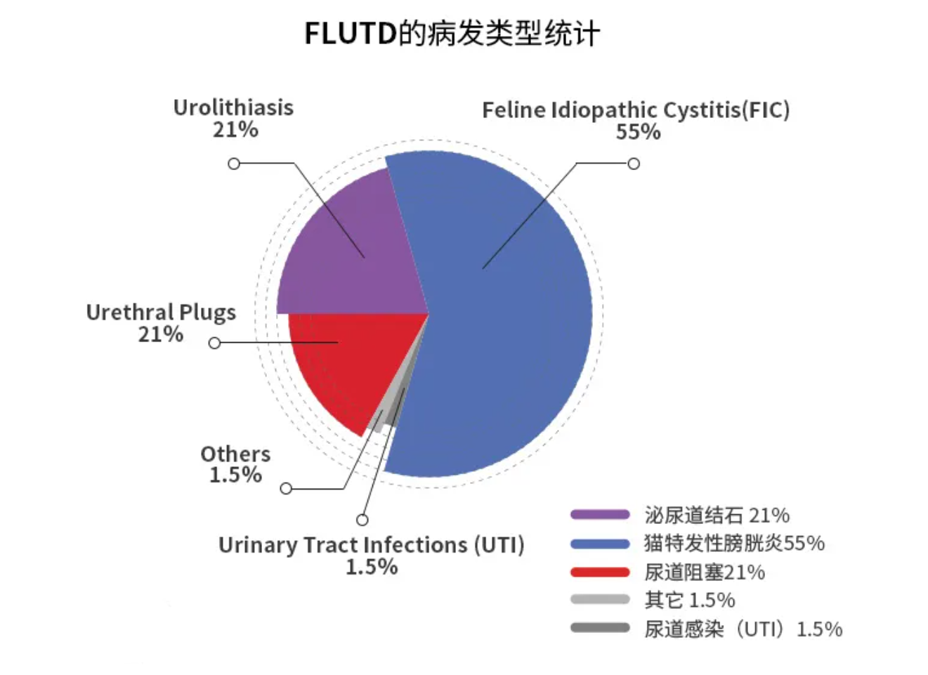 What to do when your cat experiences feline idiopathic cystitis (FIC)?(图2)