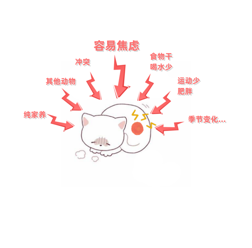 What to do when your cat experiences feline idiopathic cystitis (FIC)?(图3)