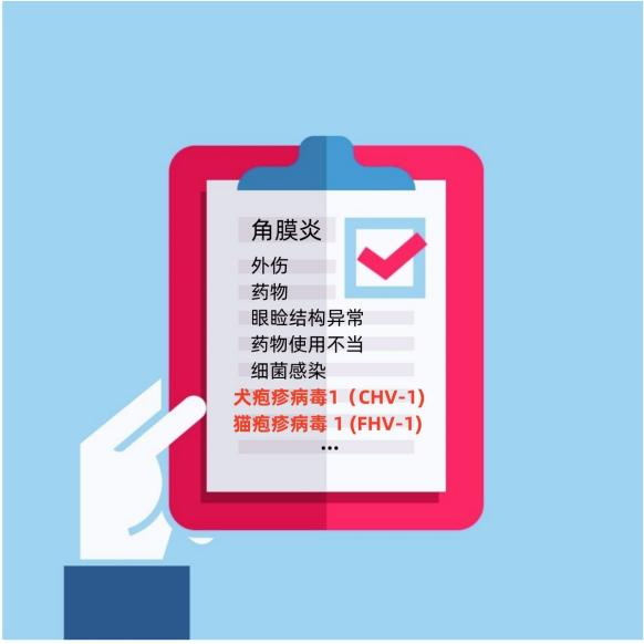 Application of antiviral ingredient Idoxuridine(IDU)(图3) Application of antiviral ingredient Idoxuridine(IDU)(图3)