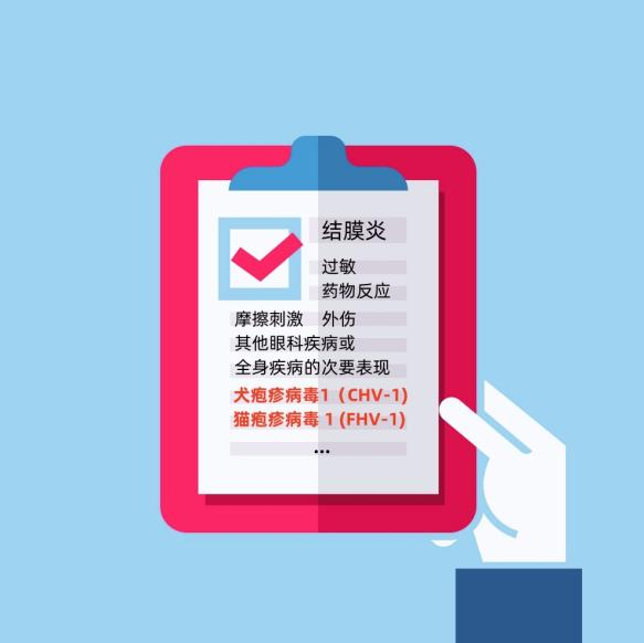 Application of antiviral ingredient Idoxuridine(IDU)(图4) Application of antiviral ingredient Idoxuridine(IDU)(图4)