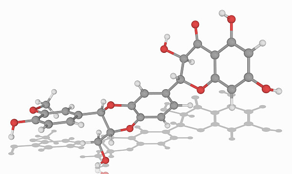 Knowledge sharing | If your pet has a bad liver, Silybin can help(图2)