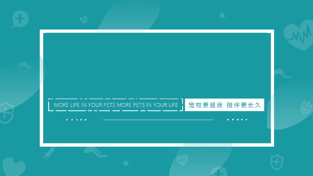 Case sharing | What to do about feline idiopathic cystitis (FIC)?(图1) Case sharing | What to do about feline idiopathic cystitis (FIC)?(图1)