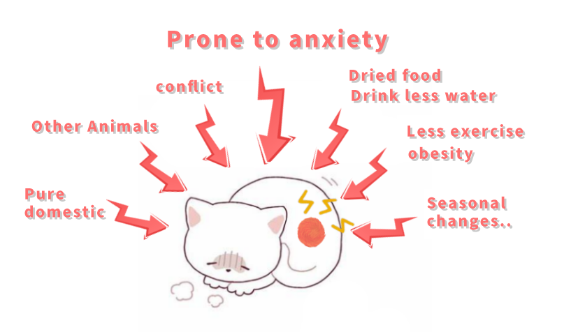 Case sharing | What to do about feline idiopathic cystitis (FIC)?(图7) Case sharing | What to do about feline idiopathic cystitis (FIC)?(图7)