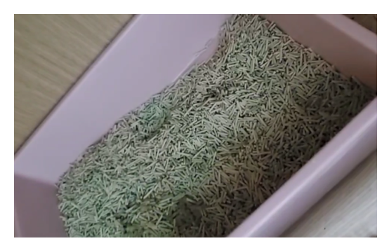 Case sharing | What to do about feline idiopathic cystitis (FIC)?(图20) Case sharing | What to do about feline idiopathic cystitis (FIC)?(图20)